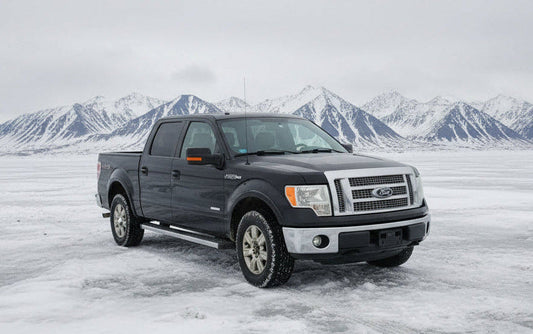 RE046 Ford F150 Platinum